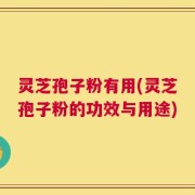 灵芝孢子粉有用(灵芝孢子粉的功效与用途)