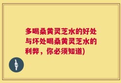 多喝桑黄灵芝水的好处与坏处喝桑黄灵芝水的利弊，你必须知道)