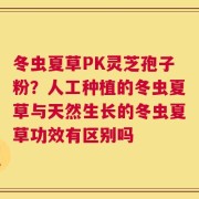 冬虫夏草PK灵芝孢子粉？人工种植的冬虫夏草与天然生长的冬虫夏草功效有区别吗