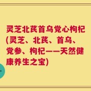 灵芝北芪首乌党心枸杞(灵芝、北芪、首乌、党参、枸杞——天然健康养生之宝)