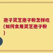 孢子灵芝孢子粉怎样吃(如何食用灵芝孢子粉)