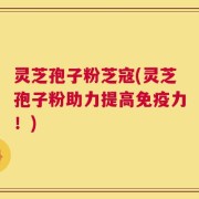 灵芝孢子粉芝寇(灵芝孢子粉助力提高免疫力！)