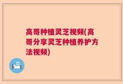 高哥种植灵芝视频(高哥分享灵芝种植养护方法视频)