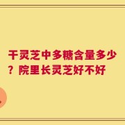 干灵芝中多糖含量多少？院里长灵芝好不好