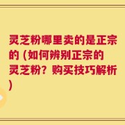 灵芝粉哪里卖的是正宗的 (如何辨别正宗的灵芝粉？购买技巧解析)