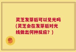 灵芝发芽后可以见光吗(灵芝会在发芽后对光线做出何种反应？)