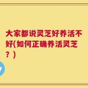 大家都说灵芝好养活不好(如何正确养活灵芝？)