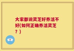 大家都说灵芝好养活不好(如何正确养活灵芝？)