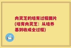 肉灵芝的培育过程图片(培育肉灵芝：从培养基到收成全过程)