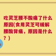 吃灵芝腰不酸痛了什么原因(食用灵芝可缓解腰酸背痛，原因是什么？)