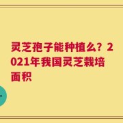 灵芝孢子能种植么？2021年我国灵芝栽培面积
