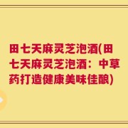 田七天麻灵芝泡酒(田七天麻灵芝泡酒：中草药打造健康美味佳酿)