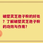破壁灵芝孢子粉的好处？了解破壁灵芝孢子粉的功效与作用？
