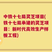 中铁十七局灵芝项目(铁十七局承建的灵芝项目：新时代高效生产样板工程)
