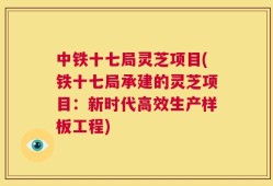 中铁十七局灵芝项目(铁十七局承建的灵芝项目：新时代高效生产样板工程)