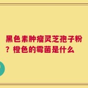 黑色素肿瘤灵芝孢子粉？橙色的霉菌是什么