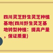 四川灵芝野生灵芝种植基地(四川野生灵芝基地转型种植：提高产量，保证质量)