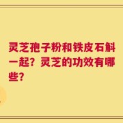 灵芝孢子粉和铁皮石斛一起？灵芝的功效有哪些？