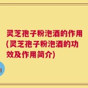 灵芝孢子粉泡酒的作用(灵芝孢子粉泡酒的功效及作用简介)