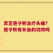灵芝孢子粉治疗头痛？孢子粉有补血的功效吗