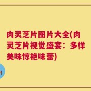 肉灵芝片图片大全(肉灵芝片视觉盛宴：多样美味惊艳味蕾)