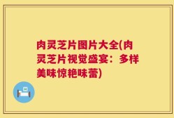 肉灵芝片图片大全(肉灵芝片视觉盛宴：多样美味惊艳味蕾)