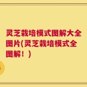灵芝栽培模式图解大全图片(灵芝栽培模式全图解！)
