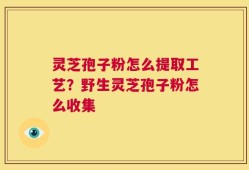灵芝孢子粉怎么提取工艺？野生灵芝孢子粉怎么收集