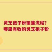 灵芝孢子粉销售流程？哪里有收购灵芝孢子粉