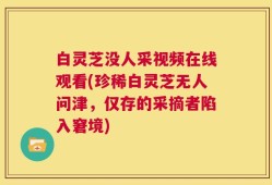 白灵芝没人采视频在线观看(珍稀白灵芝无人问津，仅存的采摘者陷入窘境)