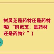 树灵芝是药材还是药材呢(“树灵芝：是药材还是药物？”)