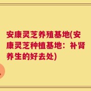 安康灵芝养殖基地(安康灵芝种植基地：补肾养生的好去处)