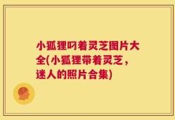 小狐狸叼着灵芝图片大全(小狐狸带着灵芝，迷人的照片合集)
