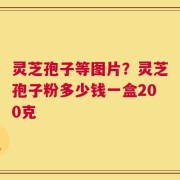 灵芝孢子等图片？灵芝孢子粉多少钱一盒200克