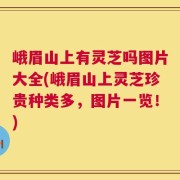峨眉山上有灵芝吗图片大全(峨眉山上灵芝珍贵种类多，图片一览！)