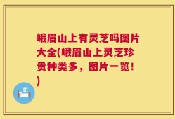 峨眉山上有灵芝吗图片大全(峨眉山上灵芝珍贵种类多，图片一览！)