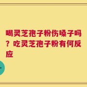 喝灵芝孢子粉伤嗓子吗？吃灵芝孢子粉有何反应