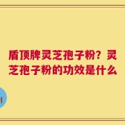 盾顶牌灵芝孢子粉？灵芝孢子粉的功效是什么
