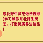 东北野生灵芝做法视频(学习制作东北野生灵芝，打造优质养生佳品)