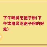 下午喝灵芝孢子粉(下午饮用灵芝孢子粉的好处)
