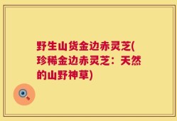 野生山货金边赤灵芝(珍稀金边赤灵芝：天然的山野神草)