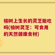 榆树上生长的灵芝能吃吗(榆树灵芝：可食用的天然健康食材)
