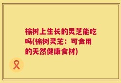 榆树上生长的灵芝能吃吗(榆树灵芝：可食用的天然健康食材)