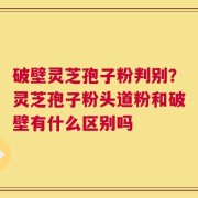 破壁灵芝孢子粉判别？灵芝孢子粉头道粉和破壁有什么区别吗