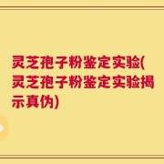 灵芝孢子粉鉴定实验(灵芝孢子粉鉴定实验揭示真伪)