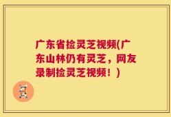 广东省捡灵芝视频(广东山林仍有灵芝，网友录制捡灵芝视频！)