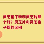 灵芝孢子粉和灵芝片那个好？灵芝片和灵芝孢子粉的区别