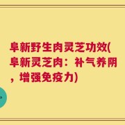 阜新野生肉灵芝功效(阜新灵芝肉：补气养阴，增强免疫力)