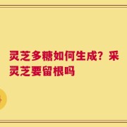 灵芝多糖如何生成？采灵芝要留根吗