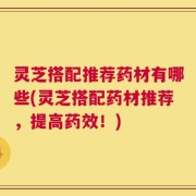 灵芝搭配推荐药材有哪些(灵芝搭配药材推荐，提高药效！)